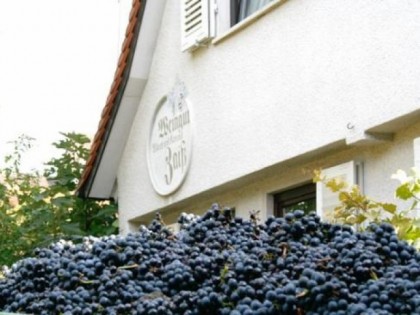 Foto: Weingut Zaiss